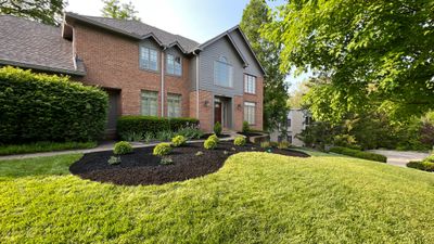 Landscape Tear Our & Install
