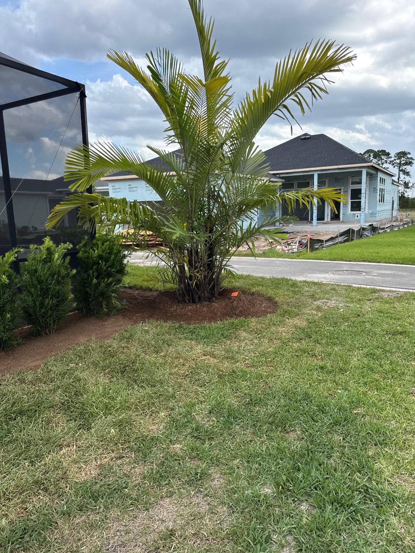 Residential | Sod Install by ProGreen Services