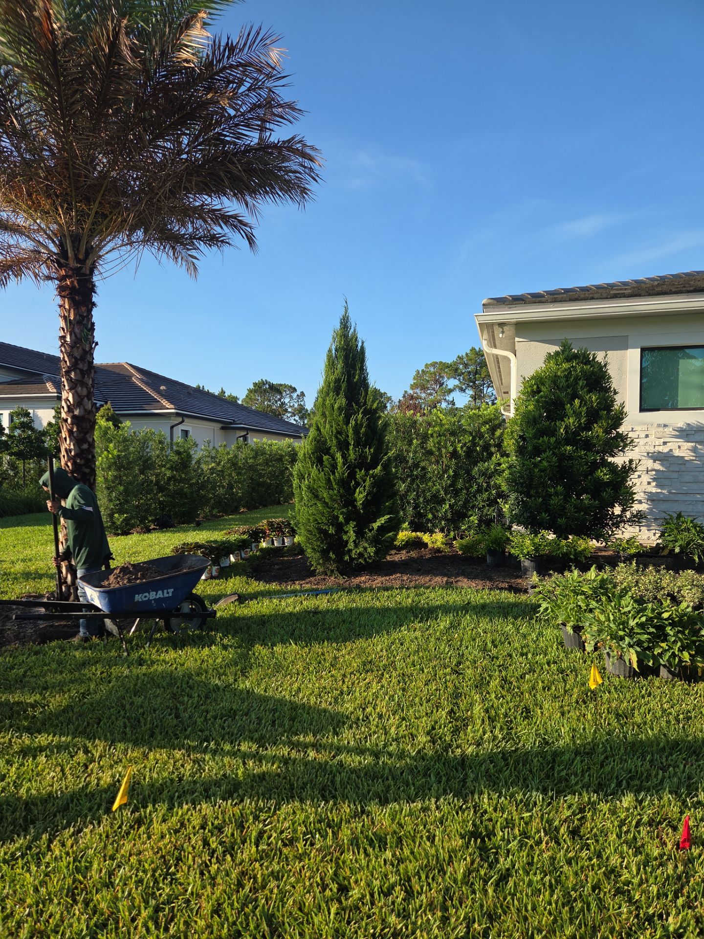 🌴✨ Canopy Creek Landscape Transformation! ✨🌿 by Alpha Zeta Enterprises Inc