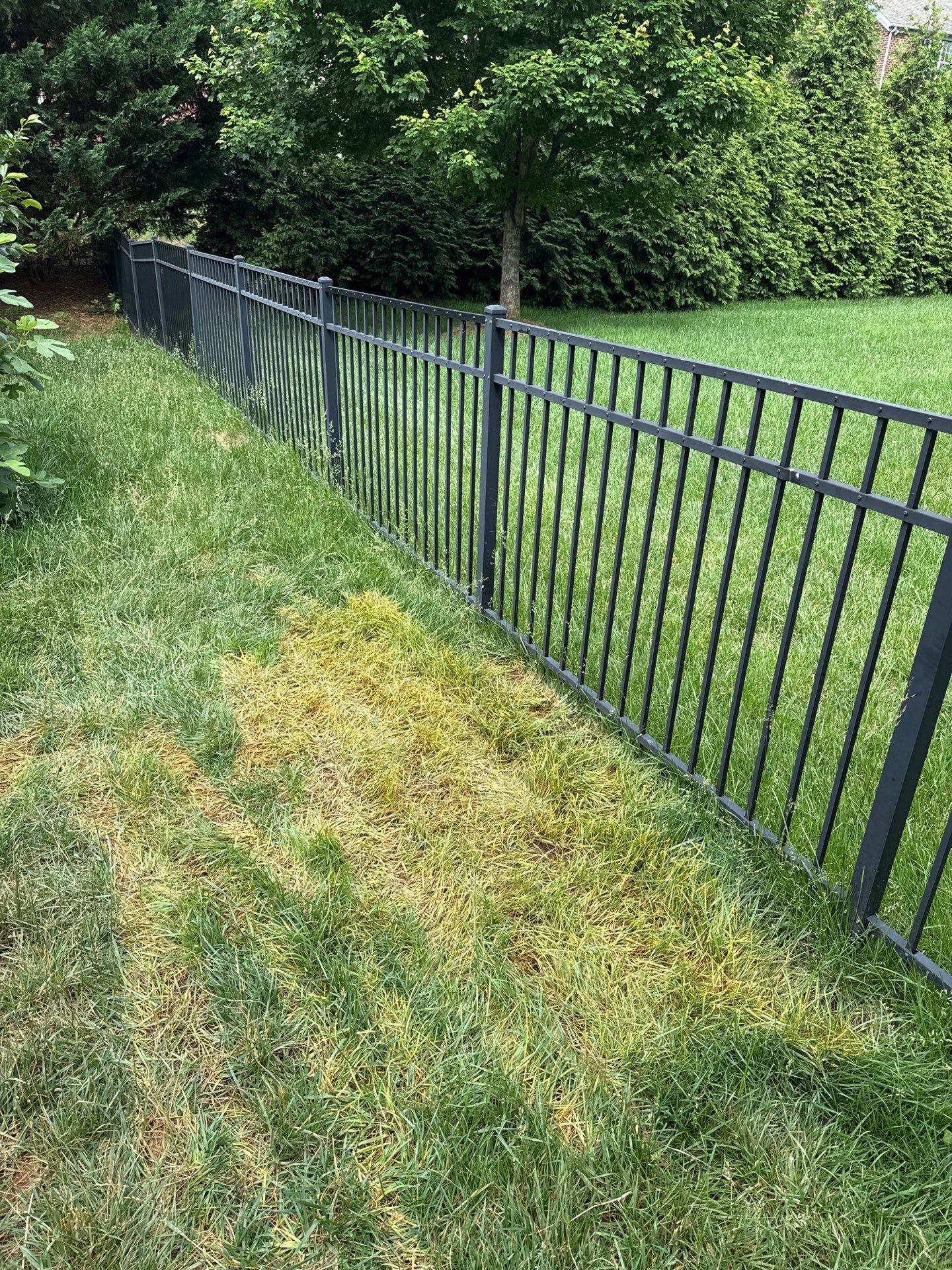 Project in Charlotte by Badger Hauling