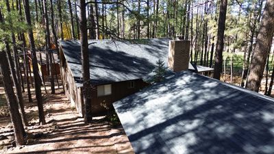 Midnight Black - Pinetop