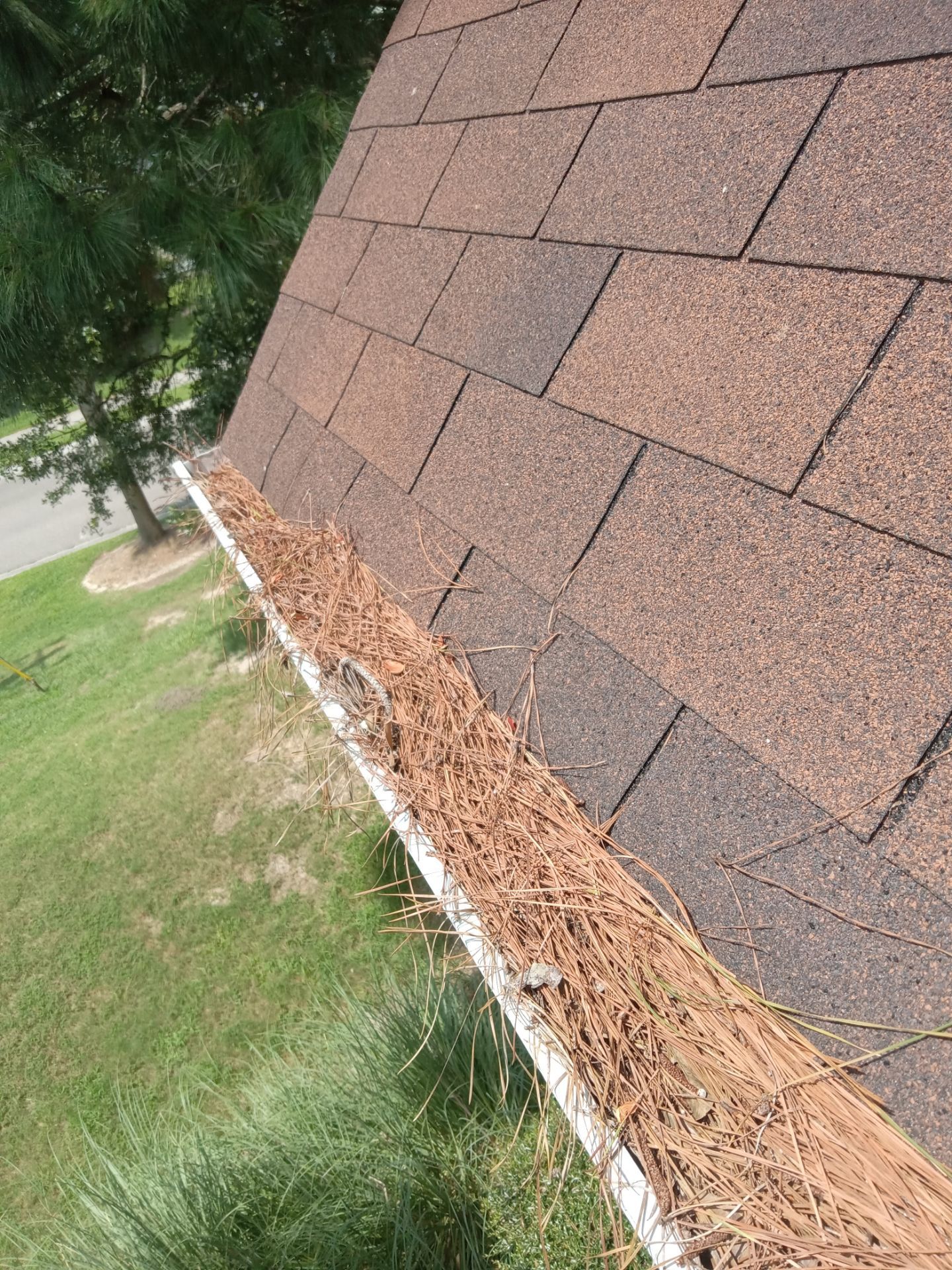 Commercial gutter cleaning Ridgeville, SC before photo with filled gutters
