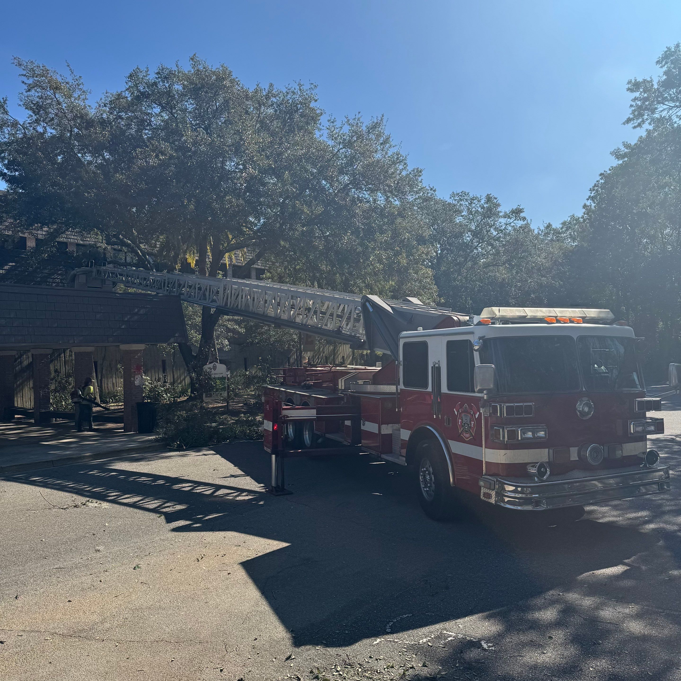Volunteer Work | Episcopal High School of Jacksonville by ProGreen Services
