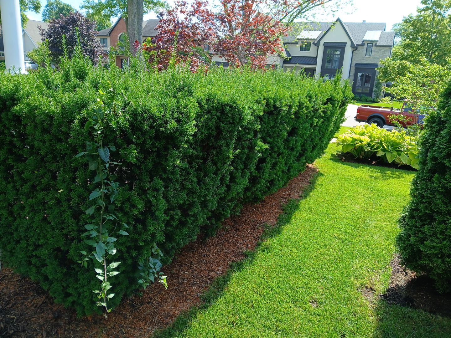 Lisa C. - Arlington Heights, IL by A&N