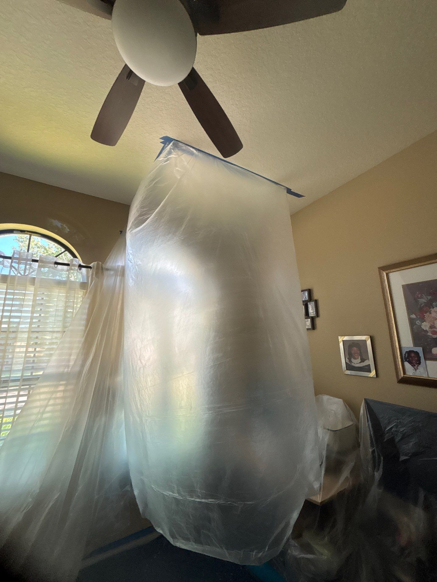 Mold Removal and treatment in Brandon, Florida by Ampm Restoration Services