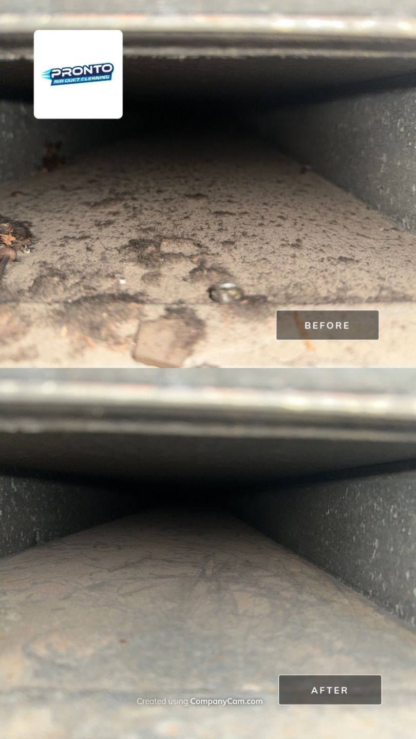 Duct Cleaning + Duct Treatment by Pronto Air Duct Cleaning