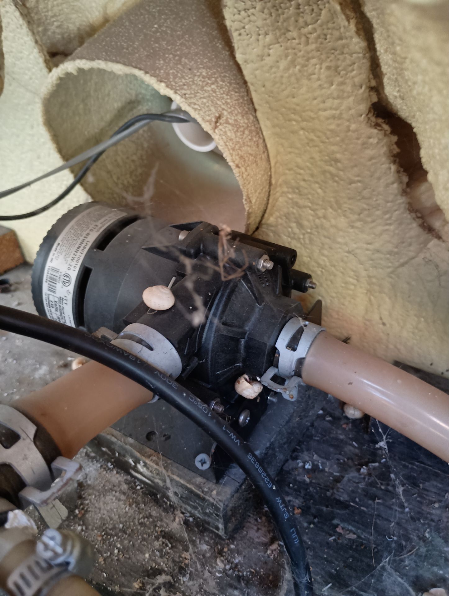 Project in El Cajon by Action Spa Repair LLC