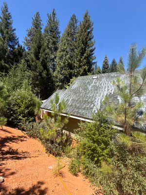 Roof Rejuvenation using Roof Maxx Treatment