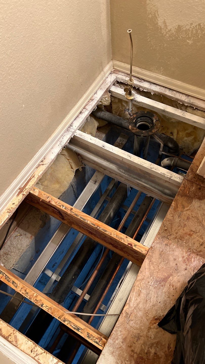 Mold Remediation by Accountable Home Services