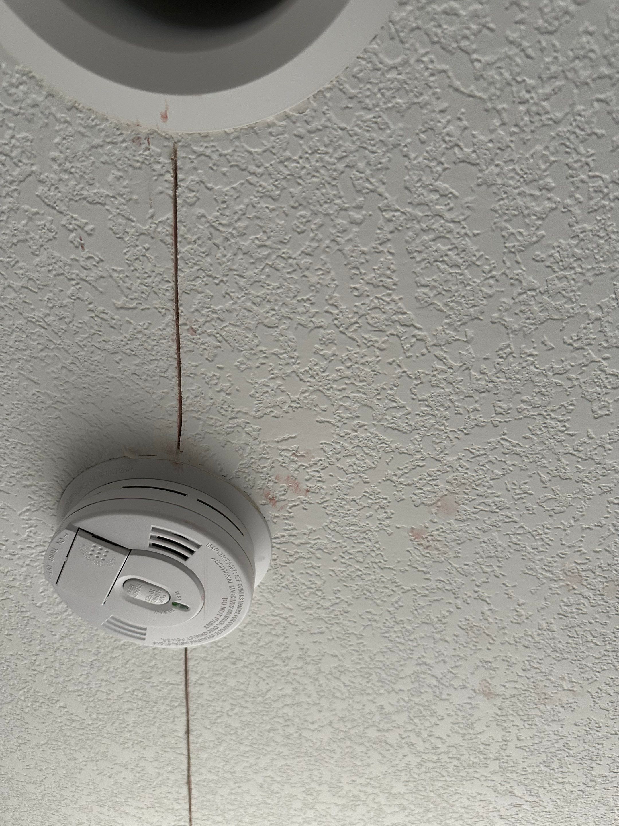Mold Remediation in Denver, CO by Alpha Restoration 