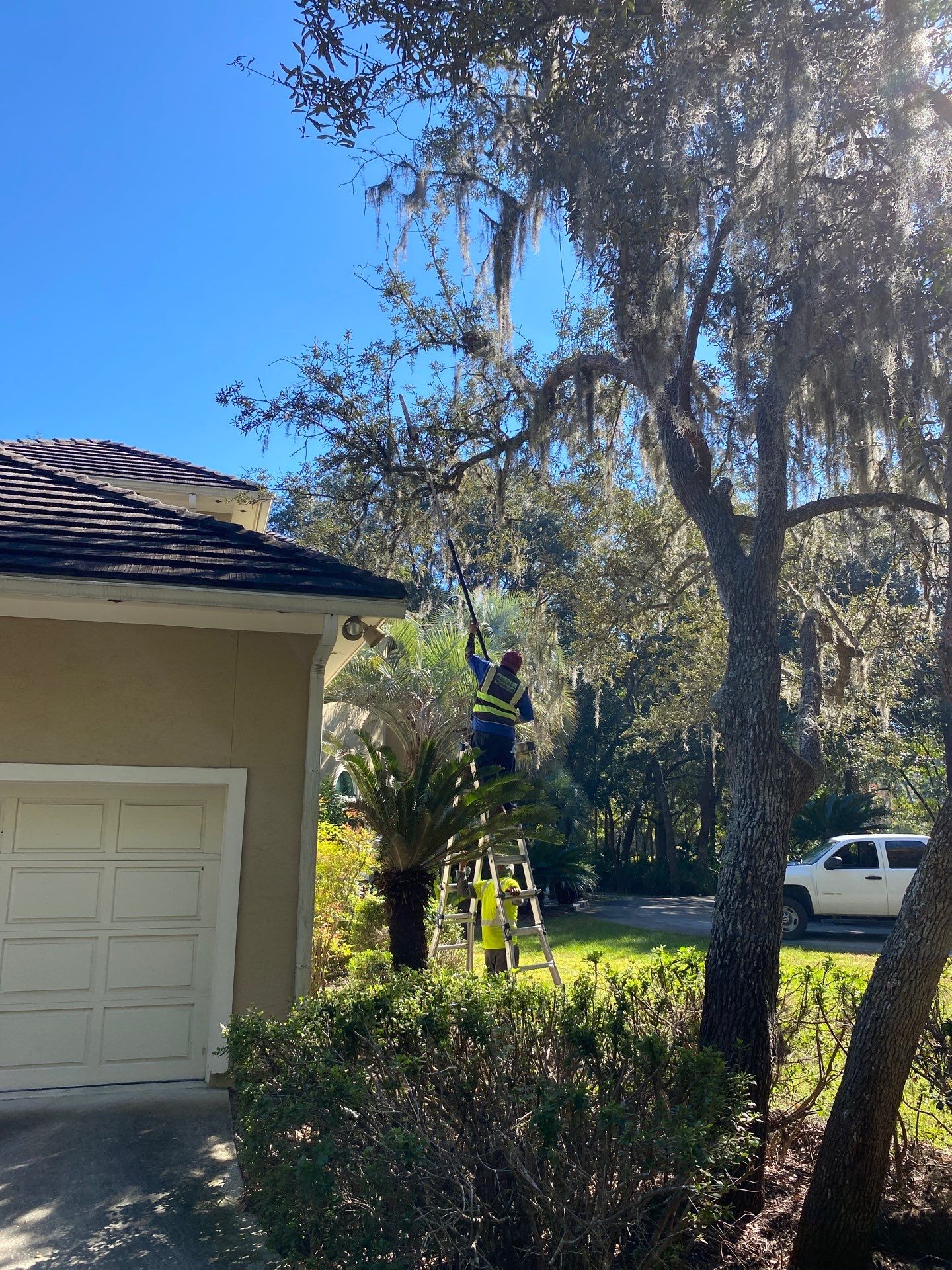 Deerwood Residence | Tree Work by ProGreen Services