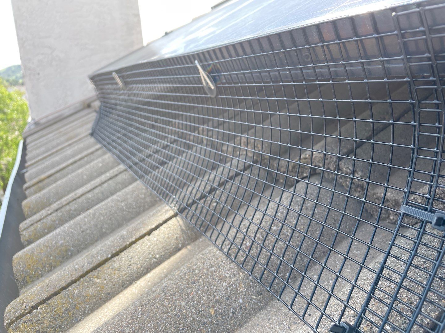 Solar Panel Bird Proofing-Morgan Hill by All One Solar Shine