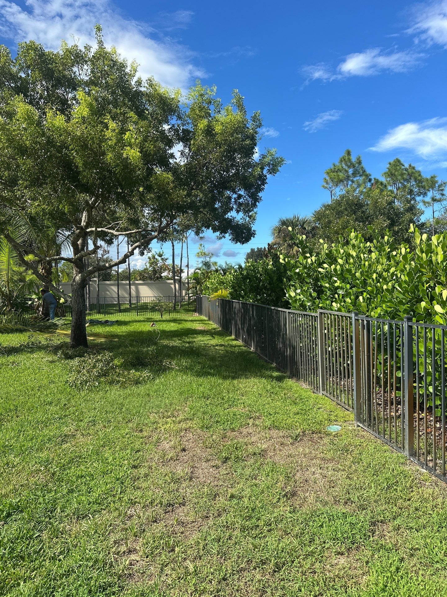 From Overgrown to Picture-Perfect - Stuart Refresh by Alpha Zeta Enterprises Inc