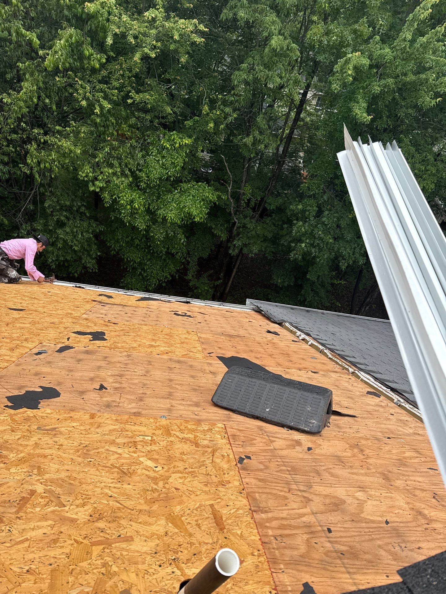 Reston Roof Replacement with CertainTeed Landmark PRO in Max Def Moire Black by RM Banning, Inc.