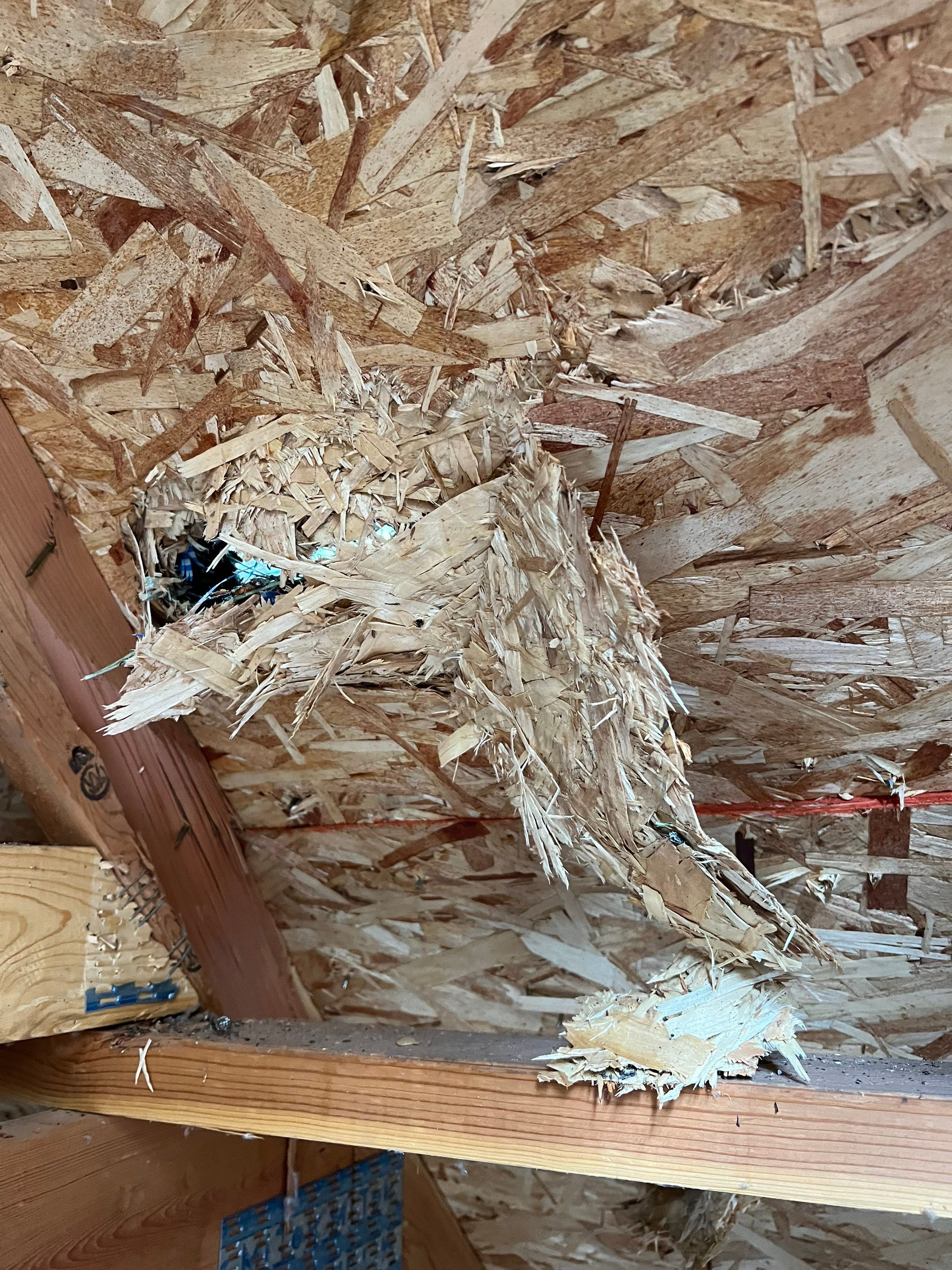 Green Snap Lock Standing Seam  by Montana Roofing Solutions