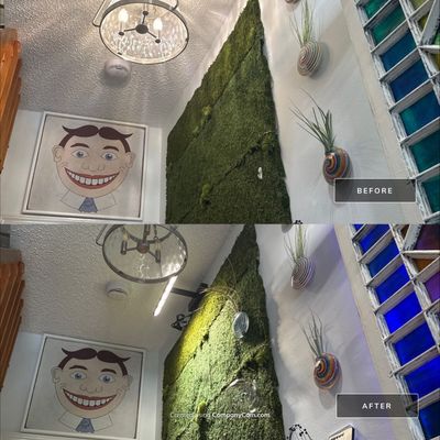 Custom Feature Wall Lighting