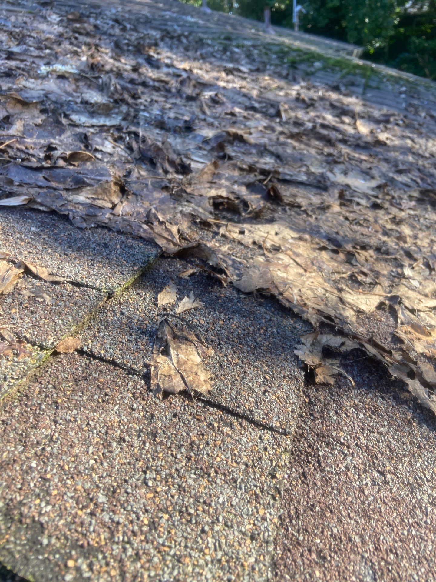 Roof Rejuvenation using Roof Maxx Treatment by Roof Maxx of Folsom