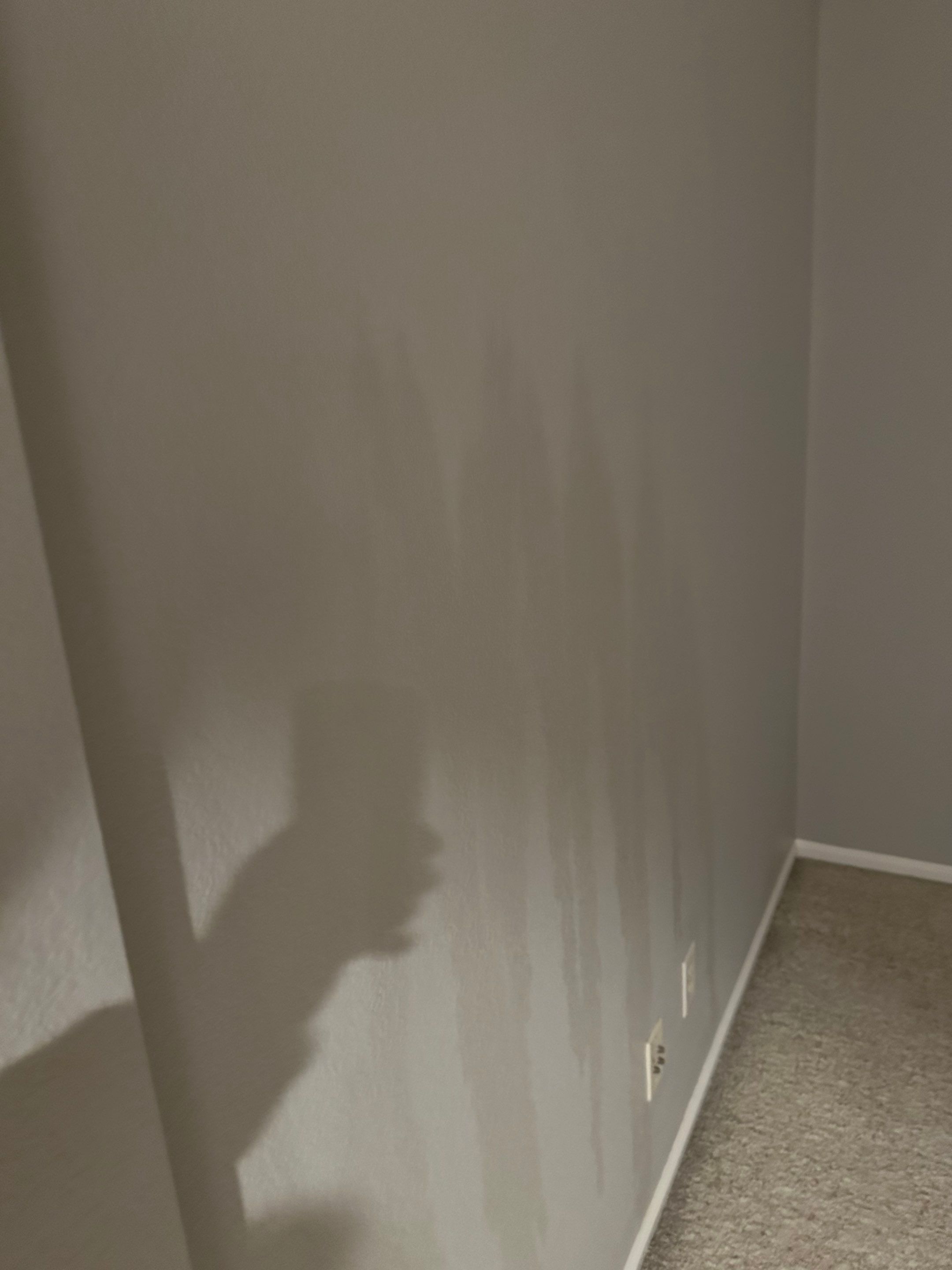 Water Damage in Highlands Ranch by Alpha Restoration 