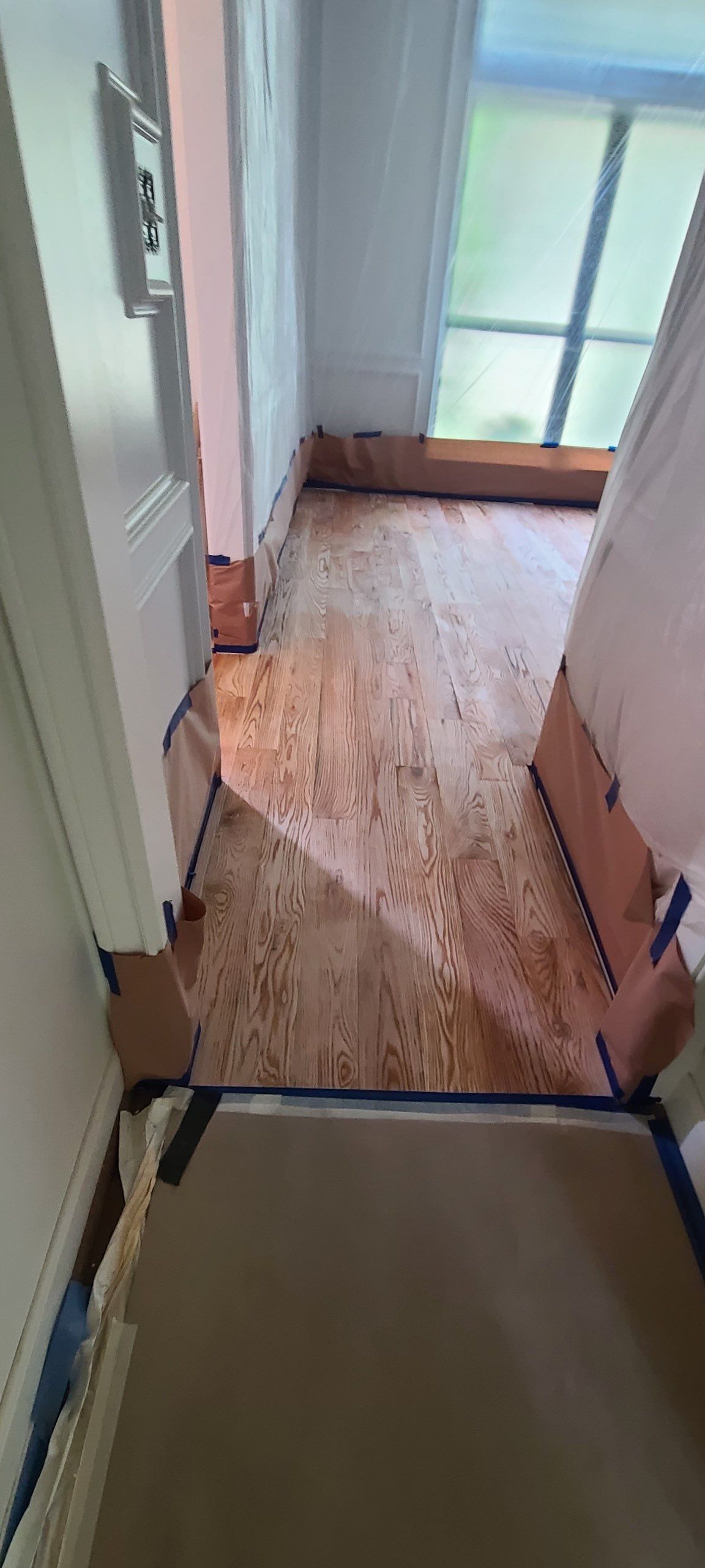 The Napolitano Family by SophAlx LLC