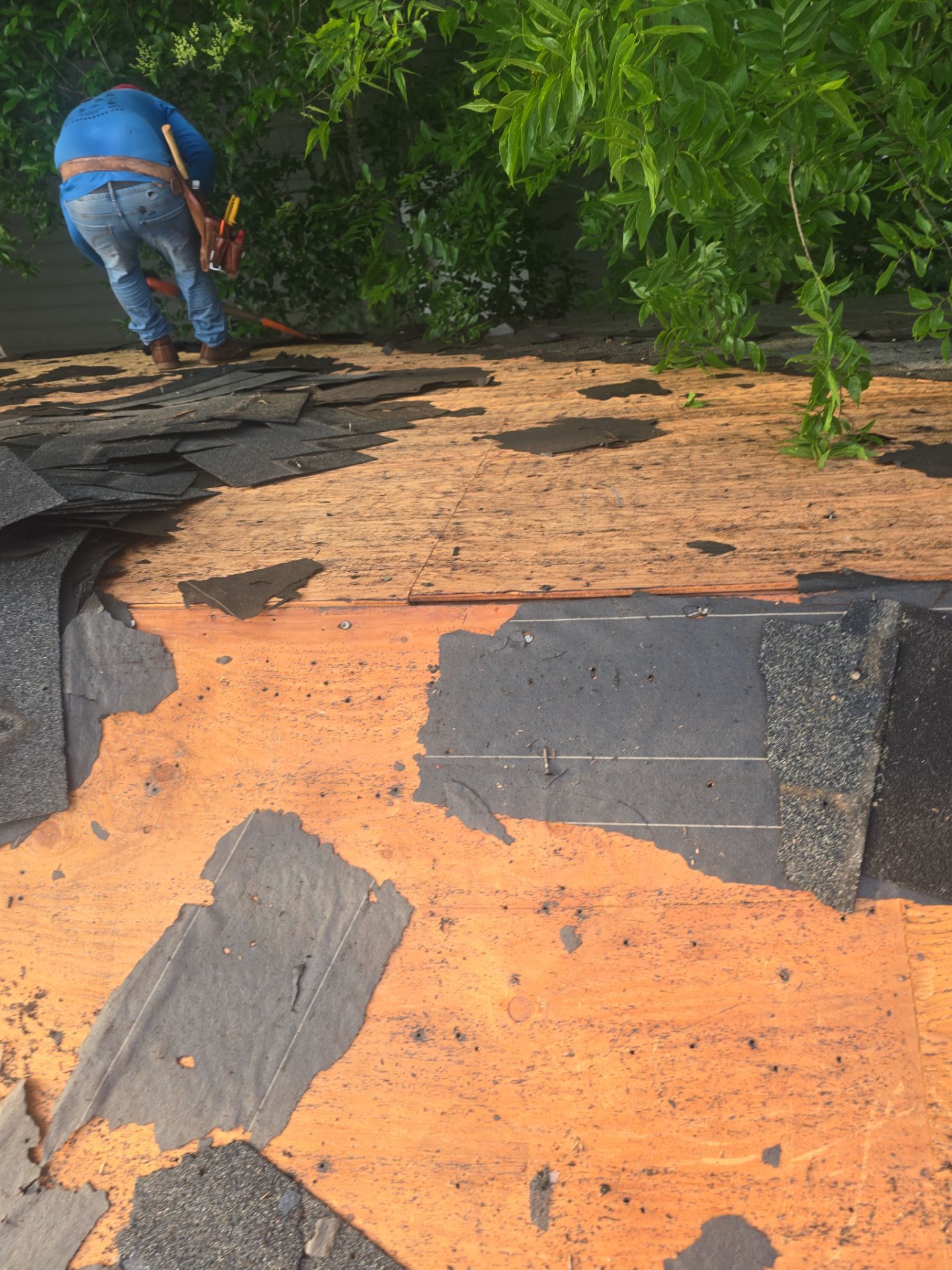 Roof Replacement Houston by Roof Repair Services LLC