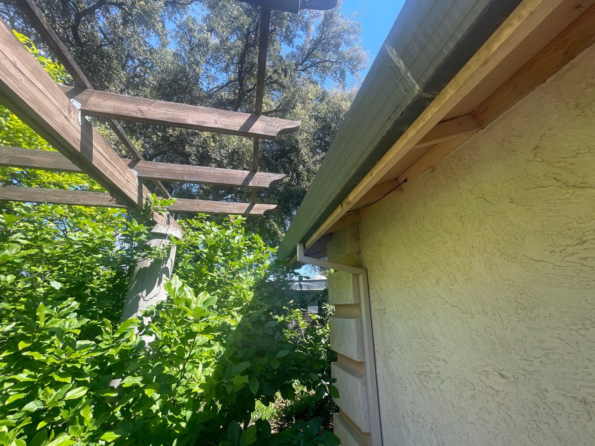 Presidential shingle roof by Straight Edge Roofing Inc