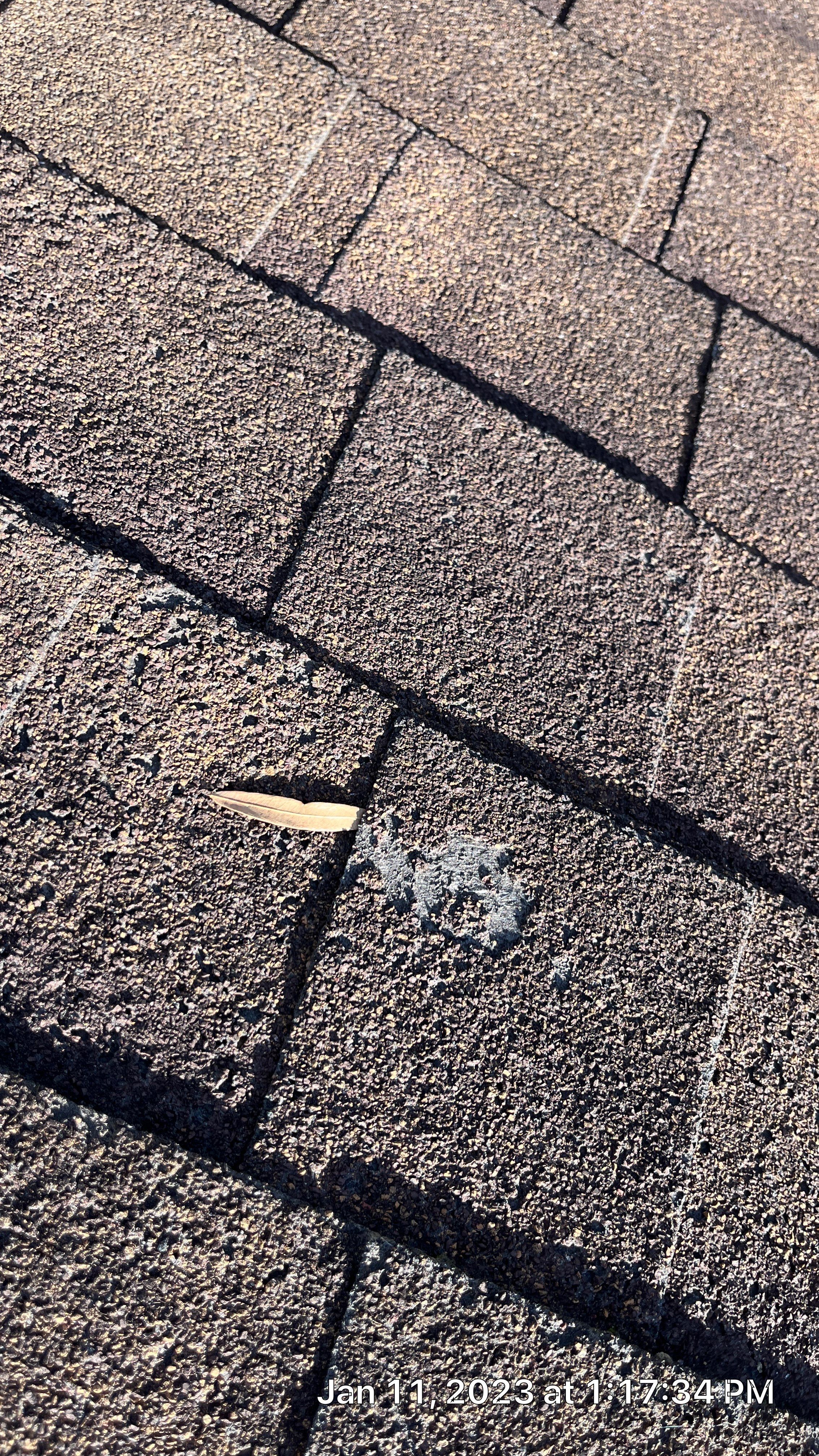 Residential Shingle Reroof using Malarkey Highlander NEX by Hostetler Roofing