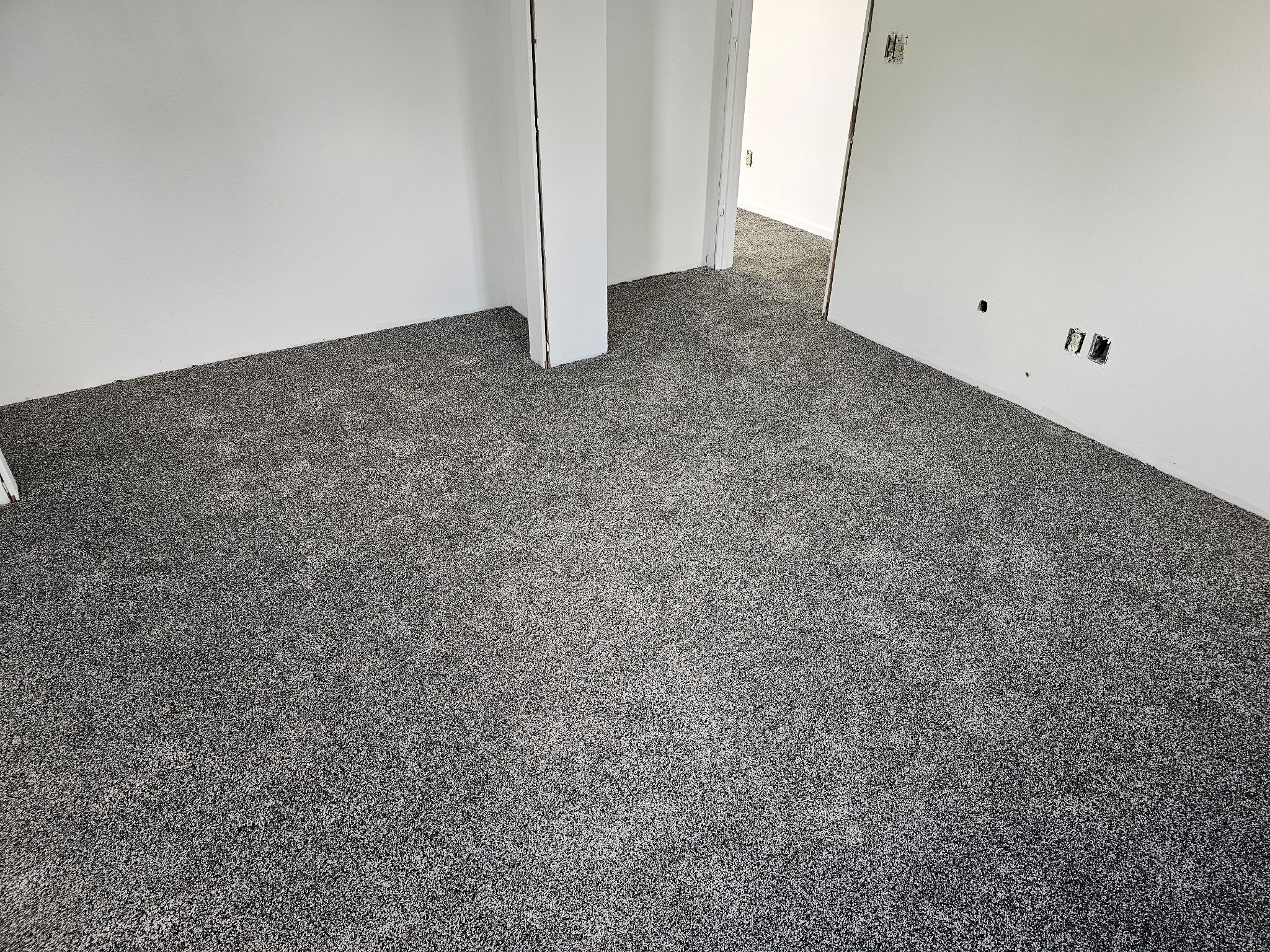 Fresh Carpet, New Comfort in Elwood by Loyal Nine