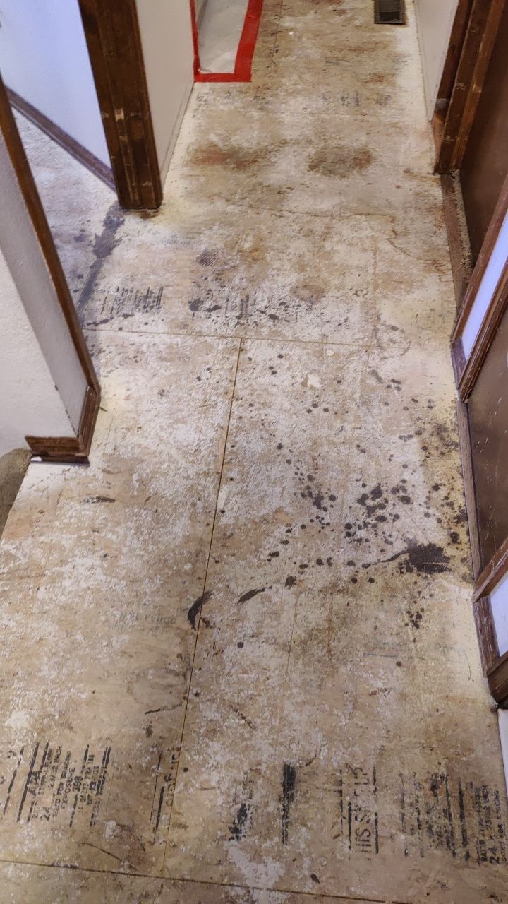 Water Damage  by Accountable Home Services