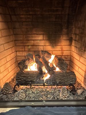 Real Fyre Gas Log Set 
