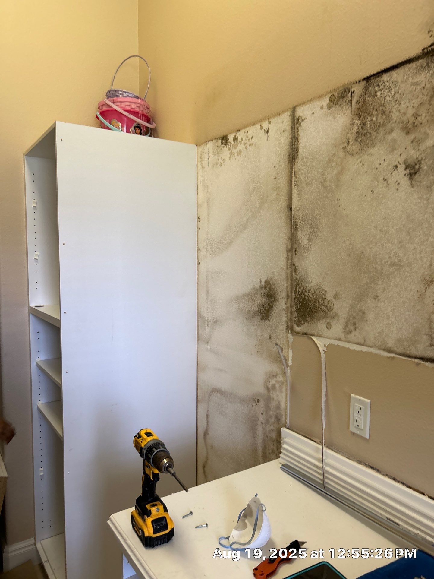 Mold Damage Inspection & Removal In Parrish, FL by Ampm Restoration Services