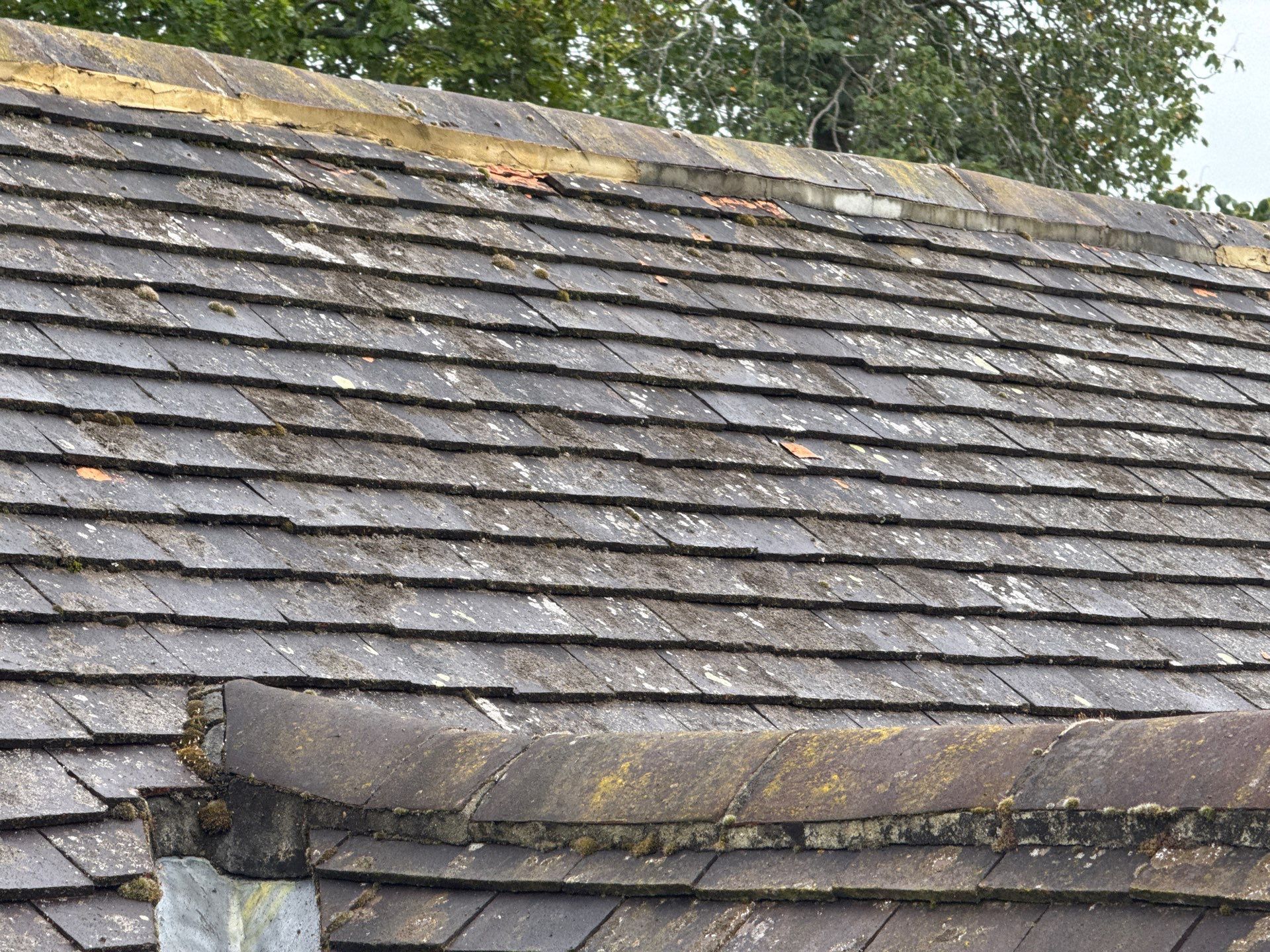 Roof Cleaning by Ges Exterior Cleaning ltd