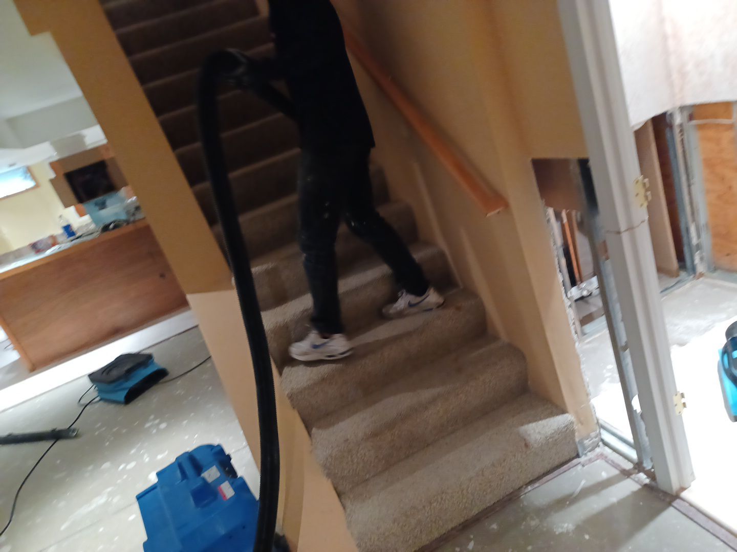 Project in Novi by EzDry Water Mitigation & Property Restoration