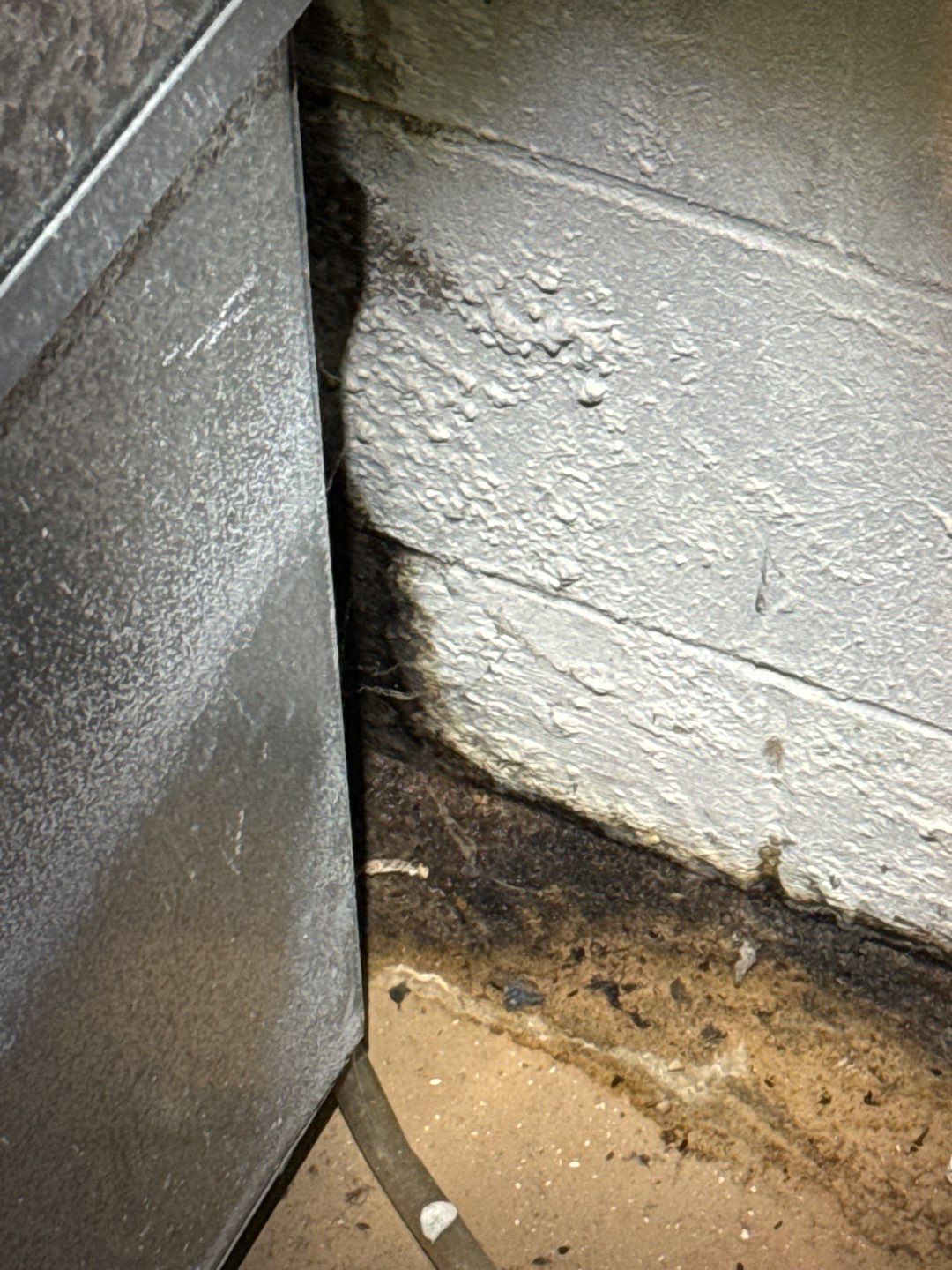 Retrofitting Drainage Board to Relieve the Pressure! by Waterproofing Northeast