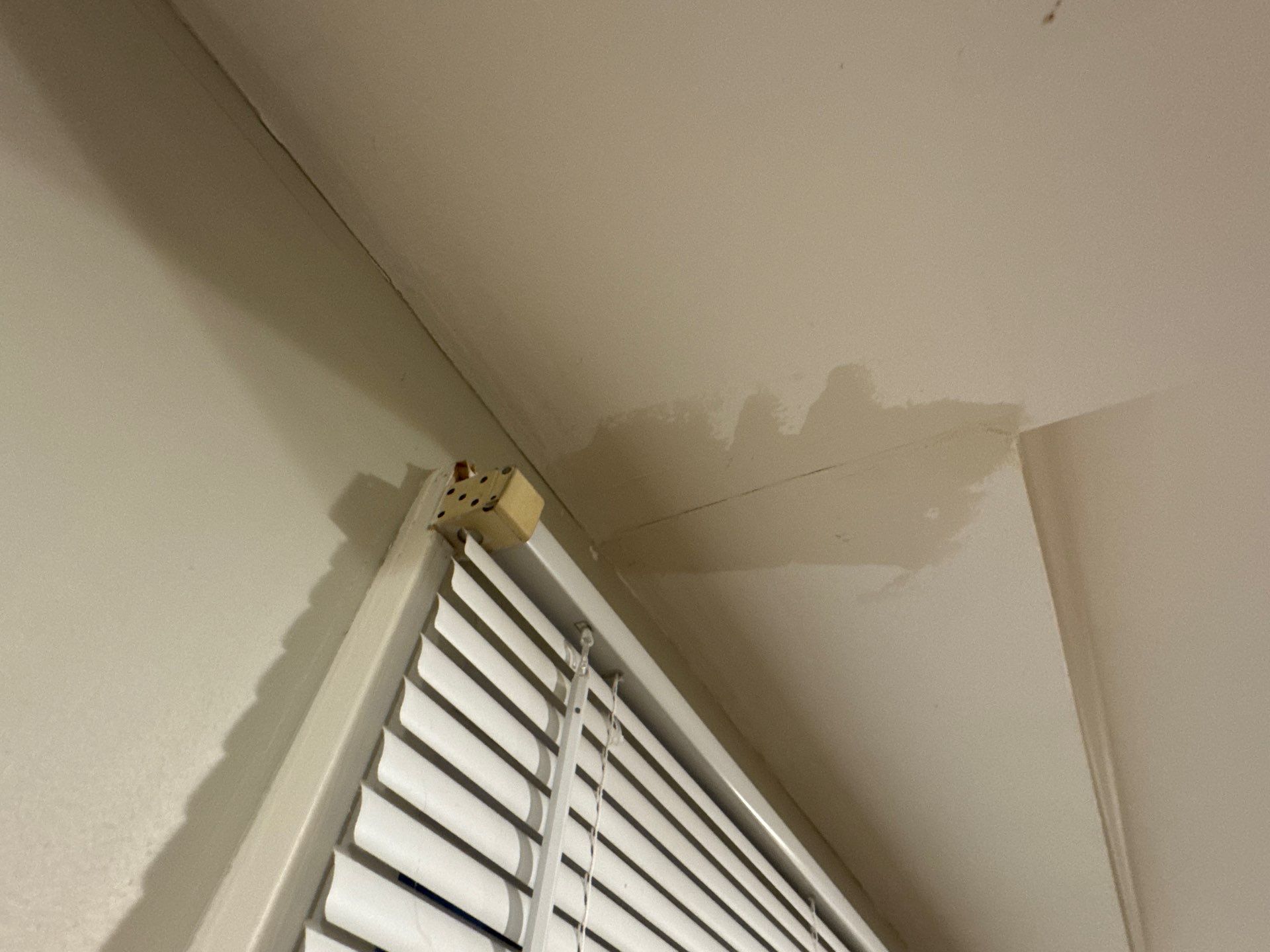 Walls Finishing by OCS Contracting Services