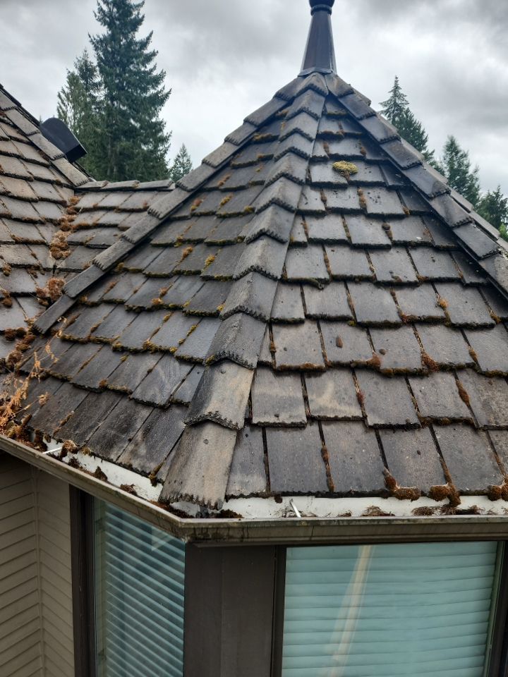 Moss Removal/ Treatment using Biocide by Willamette Outdoor Wash LLC