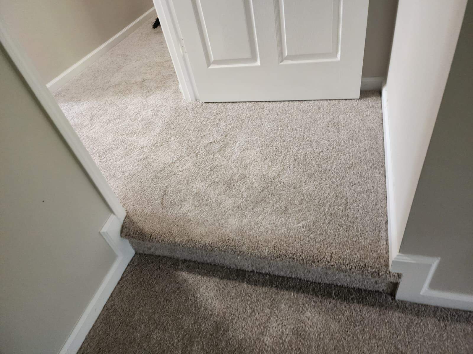 Project 57 by FMP Flooring