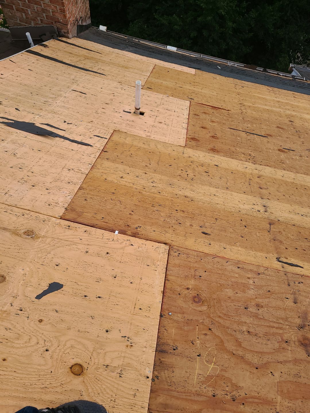 Alexandria: Roof Replacement with CertainTeed Landmark Pro in Max Def Burnt Sienna by RM Banning, Inc.