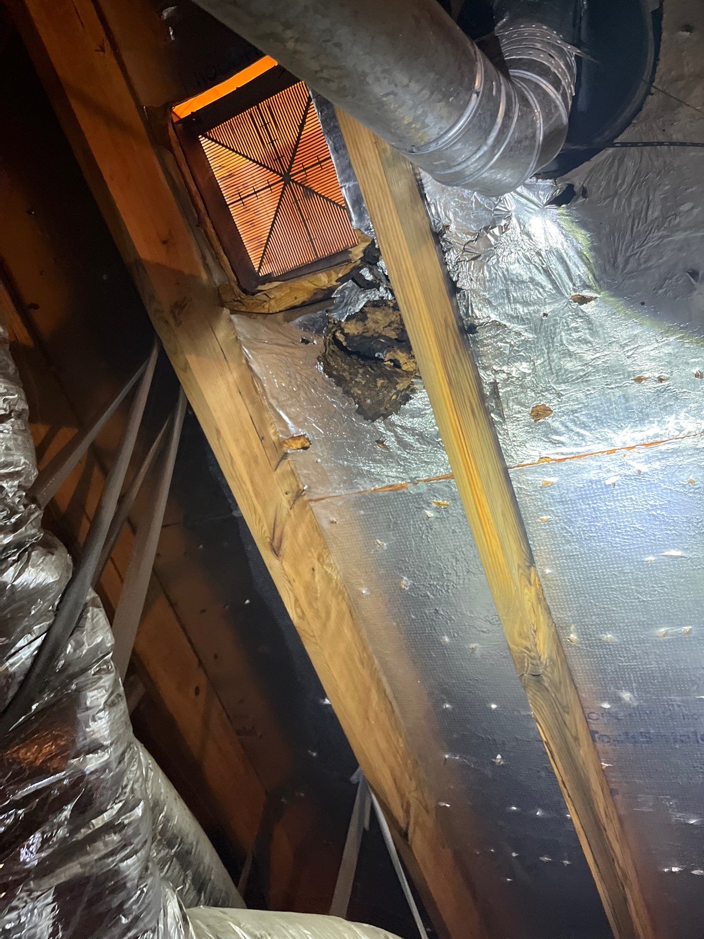 Hail Damage using Owen's Corning Duration (Lifetime) Shingles by Roof Repair Company