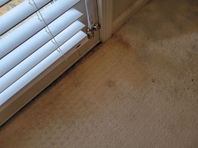 Highly Reactive, Jute Backed Carpet
