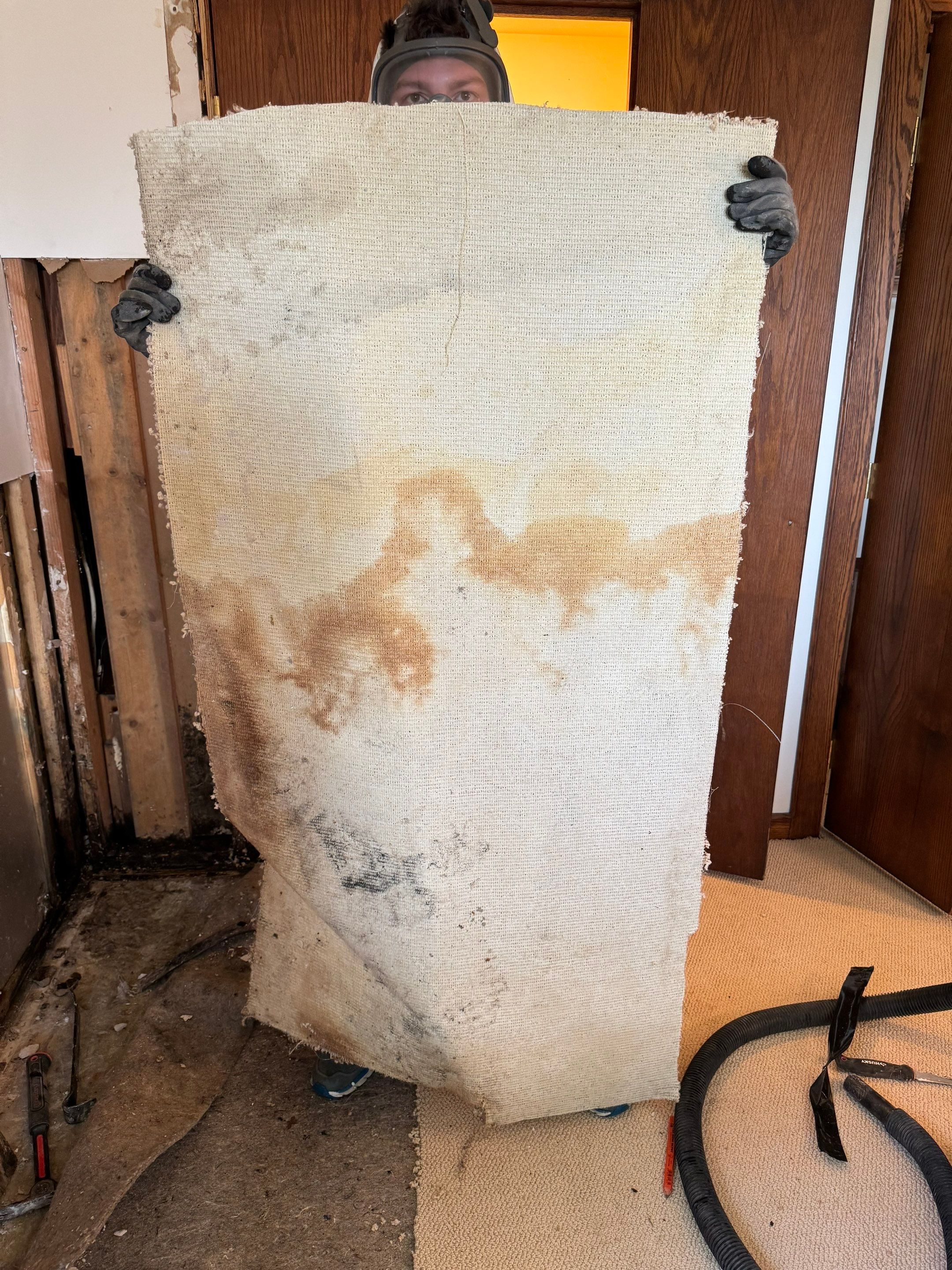 Major Basement Remediation / Restoration by Home Guarantee, LLC