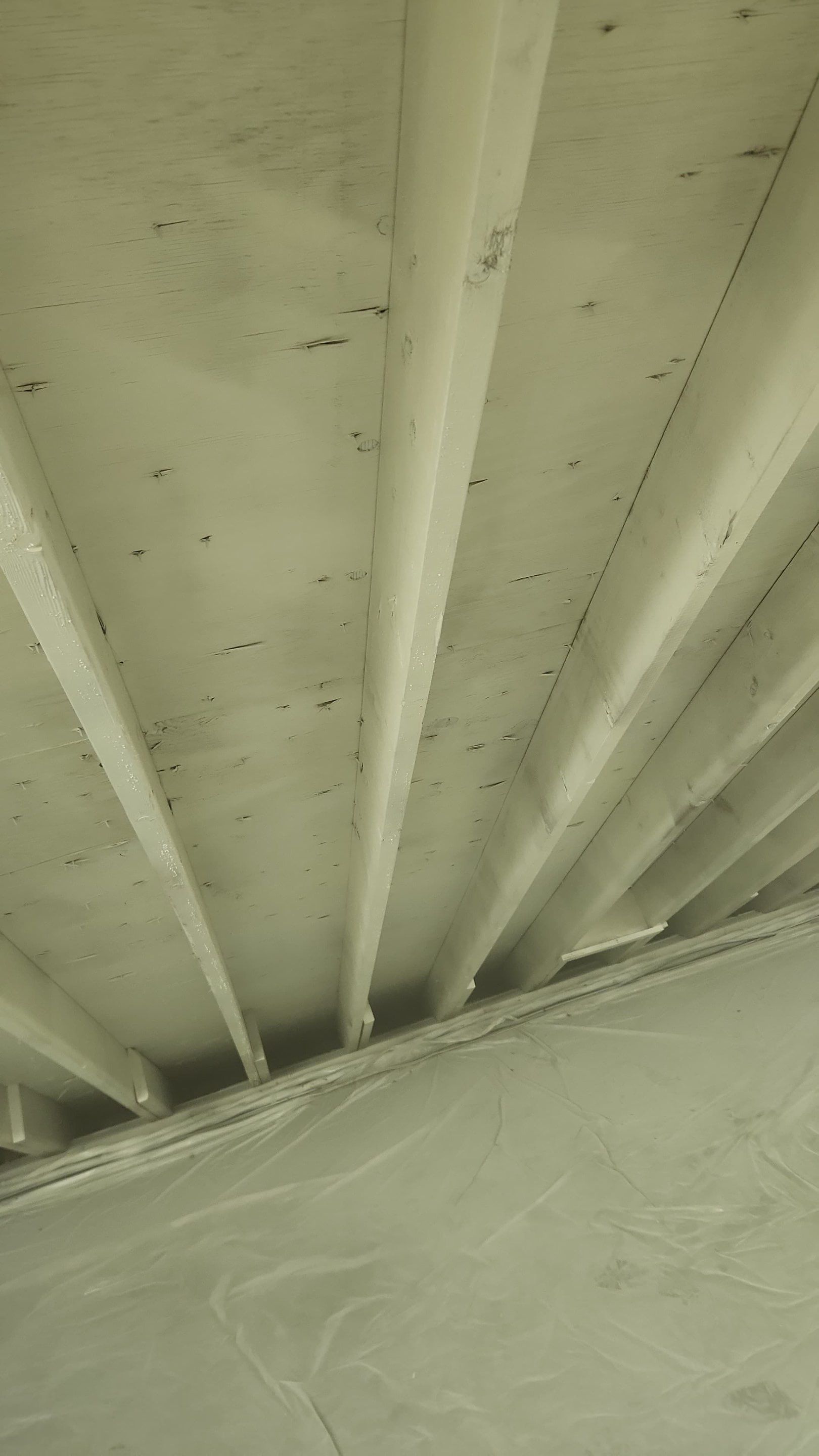 Attic Mold Remediation in Montville, NJ by Pure Service Pro, LLC