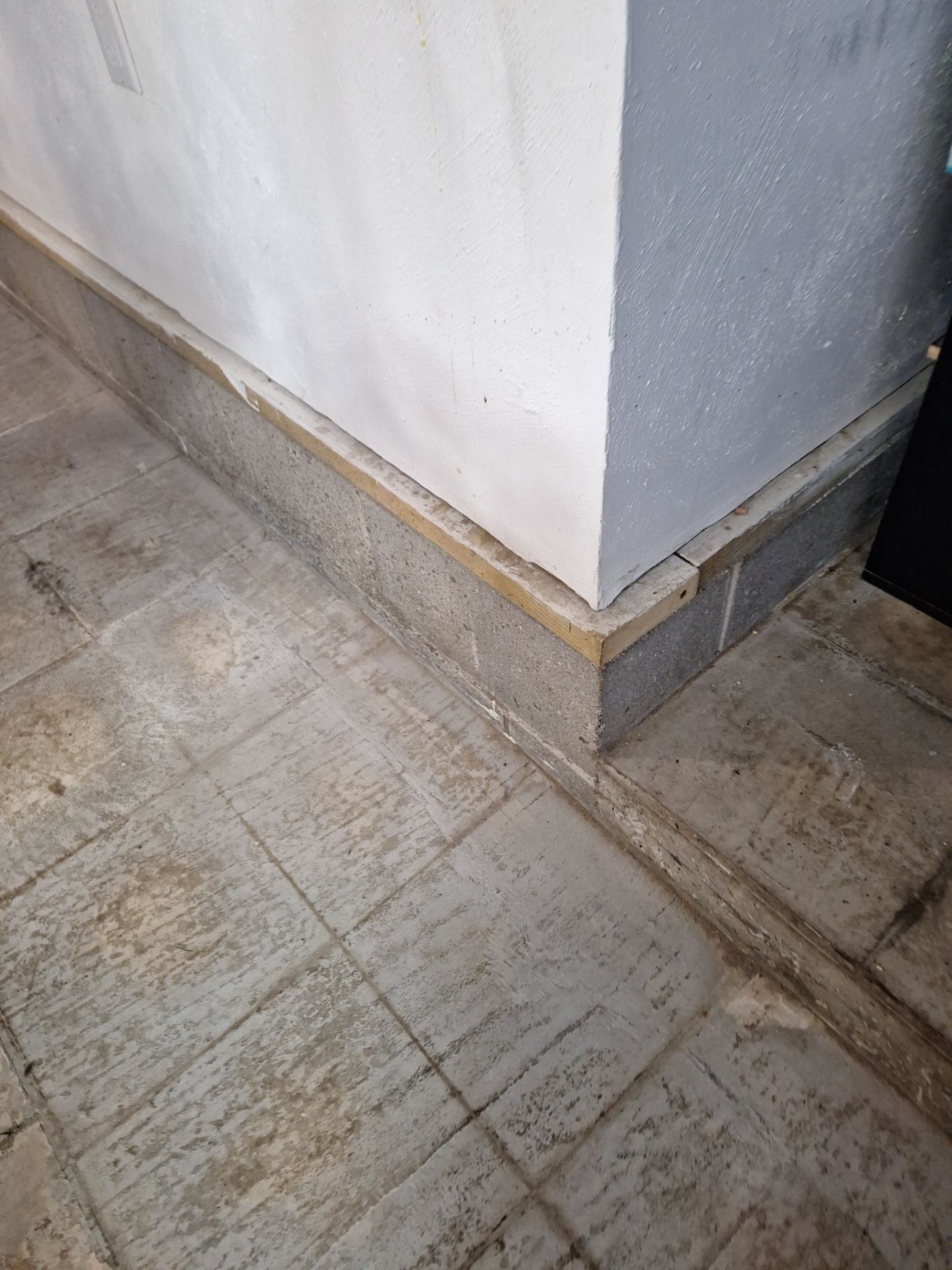 Durable Epoxy Flake Floor for Dog Grooming Studio – Norton Shores, MI by Gordon Painting