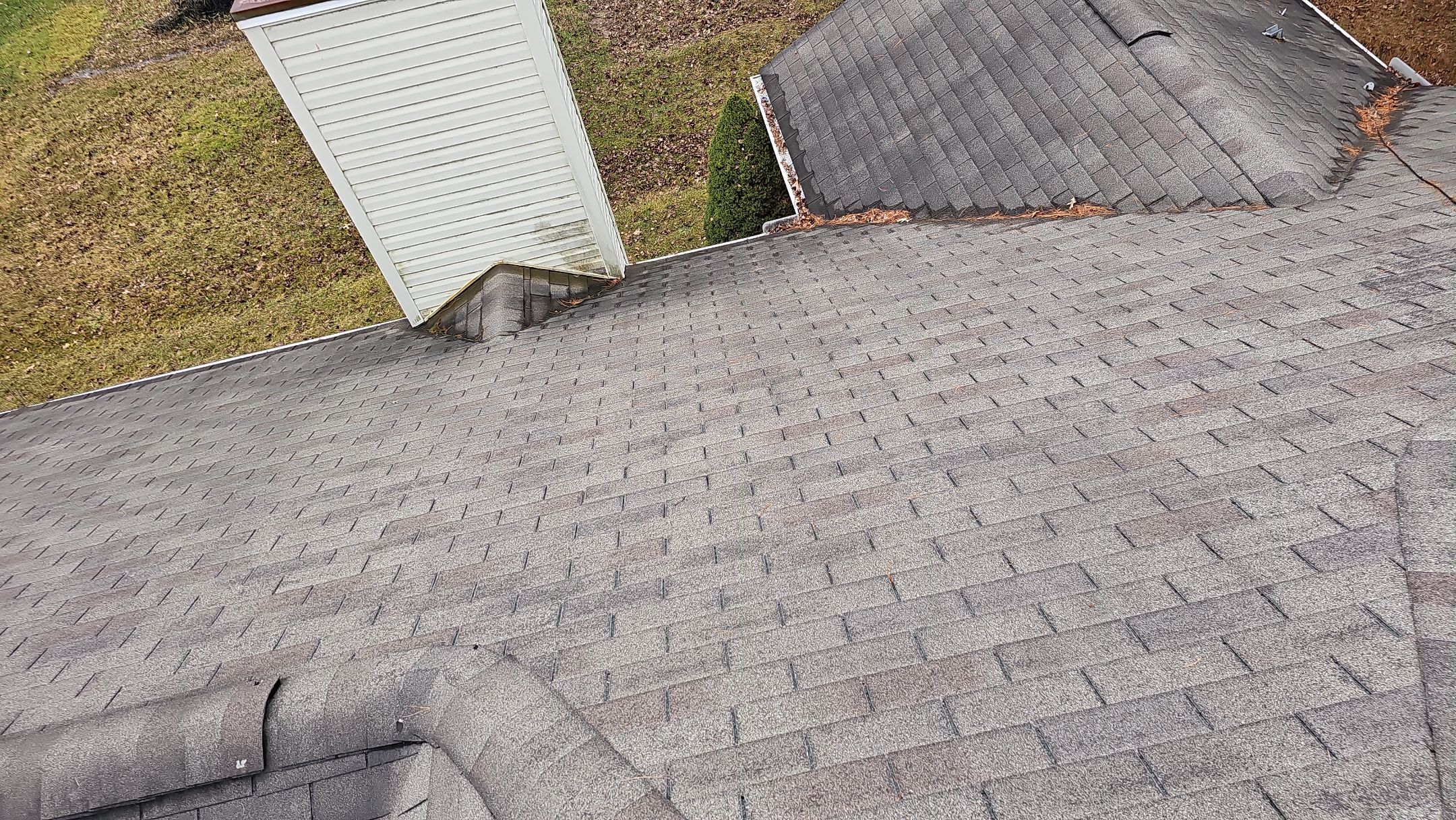 Alpha Rib, Color: Forest Green by Eagle Eye Roofing