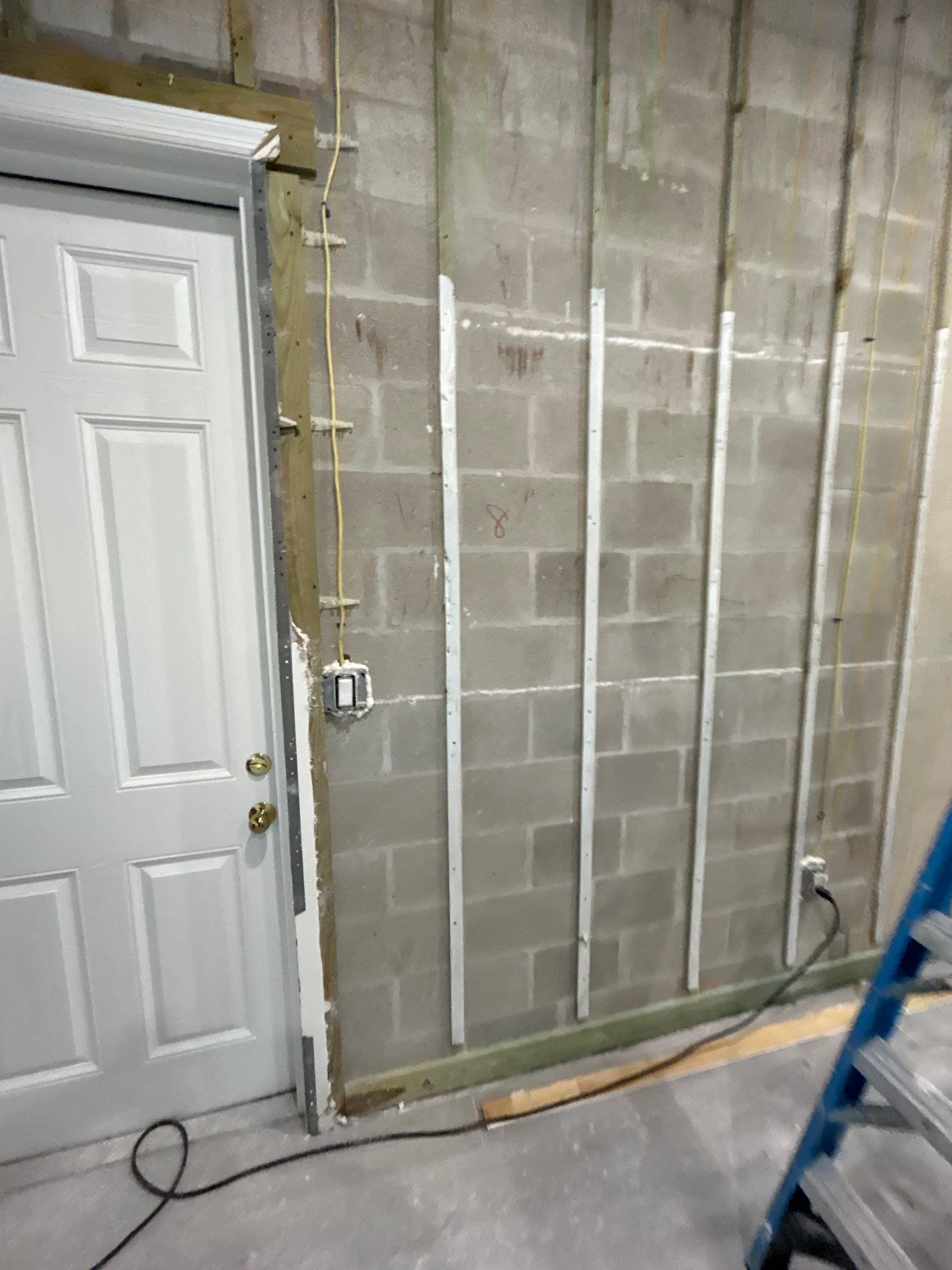 Mold Removal & Remediation In Sarasota by Ampm Restoration Services