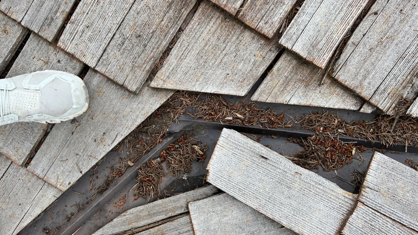 Owens Corning TruDefinition Duration - Desert Tan by Montana Roofing Solutions