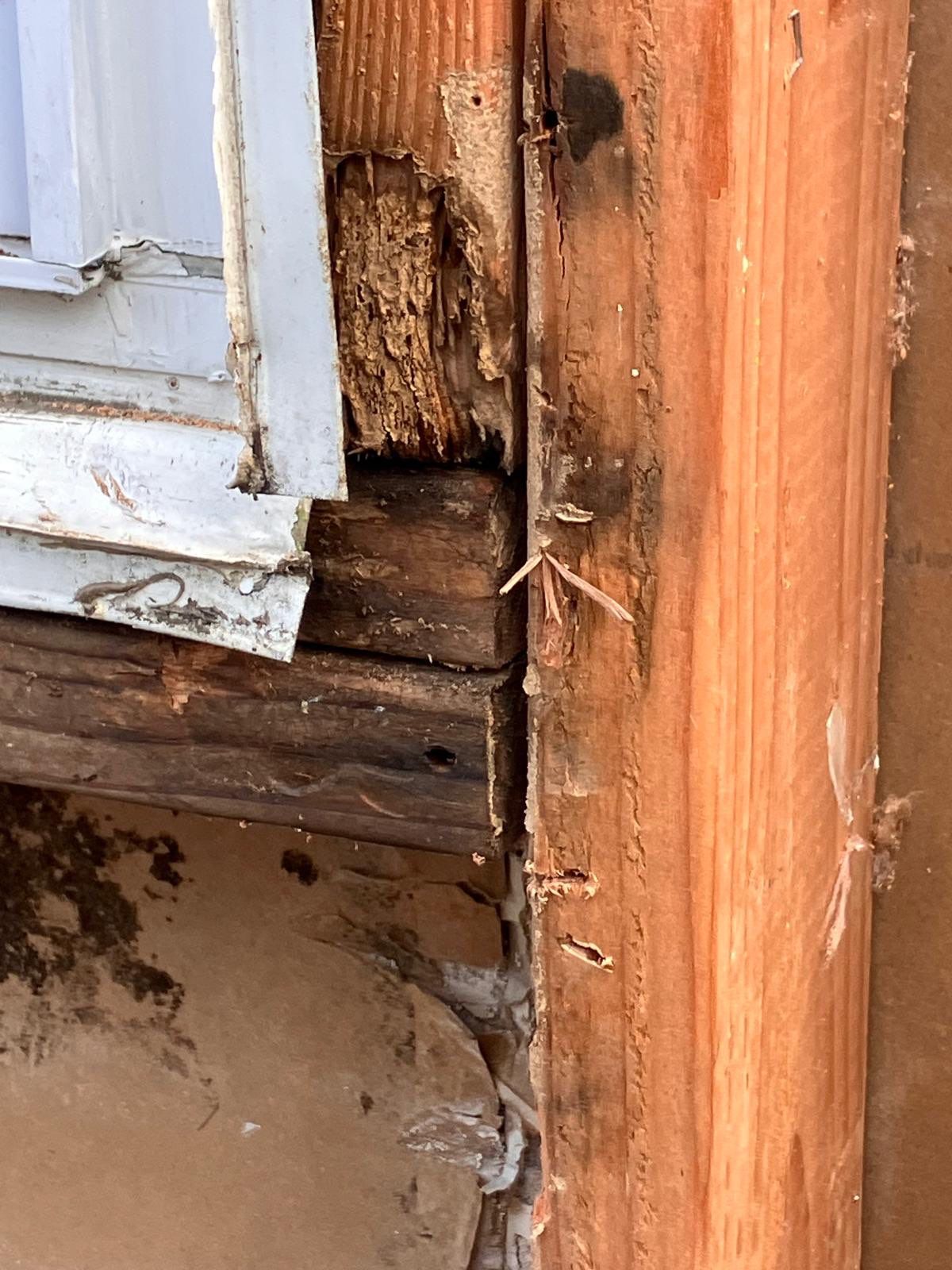 Back Wall Siding Replacement & Breezeway Roof. by Philadelphia Quality Roofing