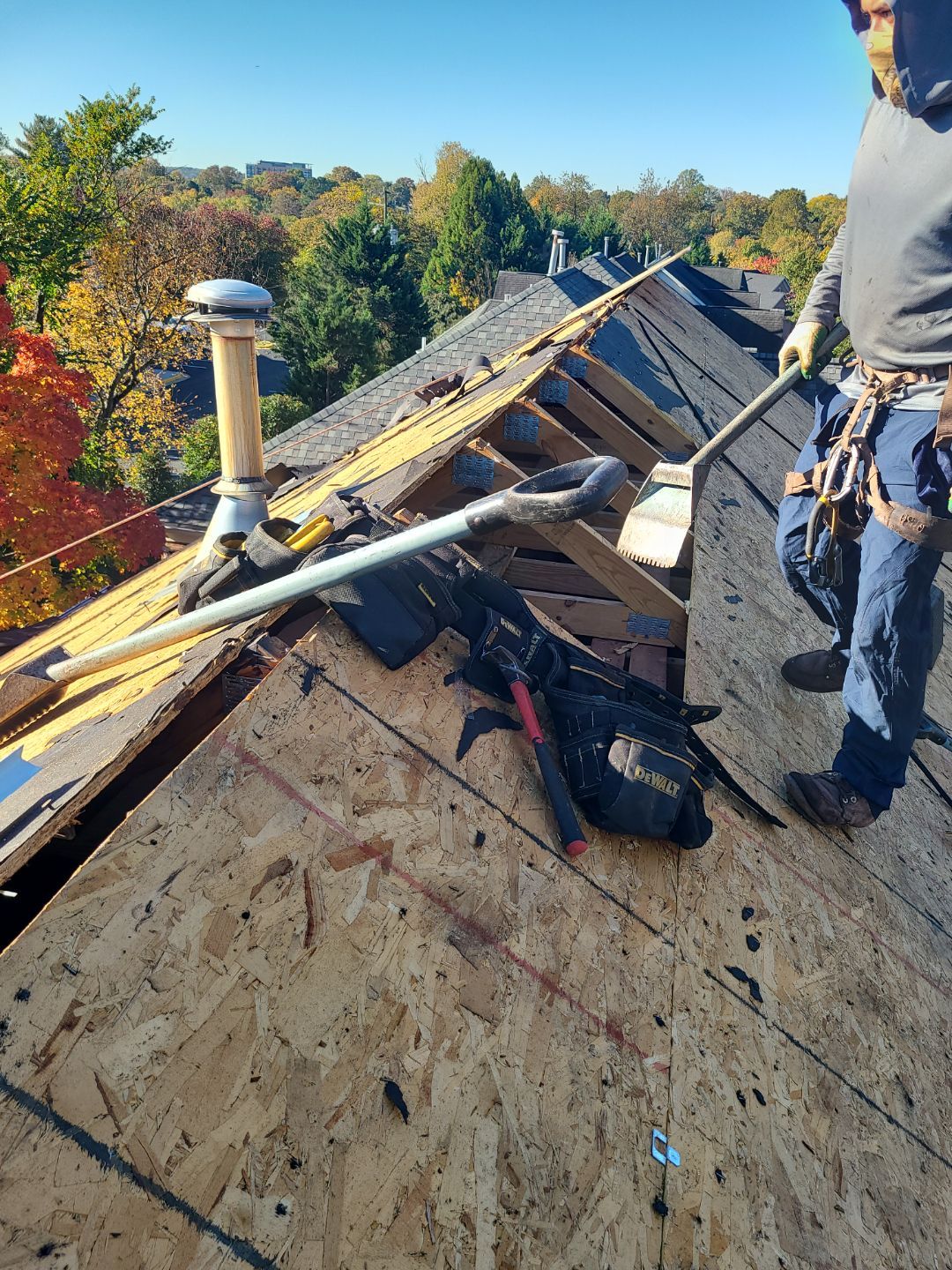 Alexandria: Residential Roof Replacement with CertainTeed Landmark Pro Designer Shingles in Max Def Moire Black by RM Banning, Inc.