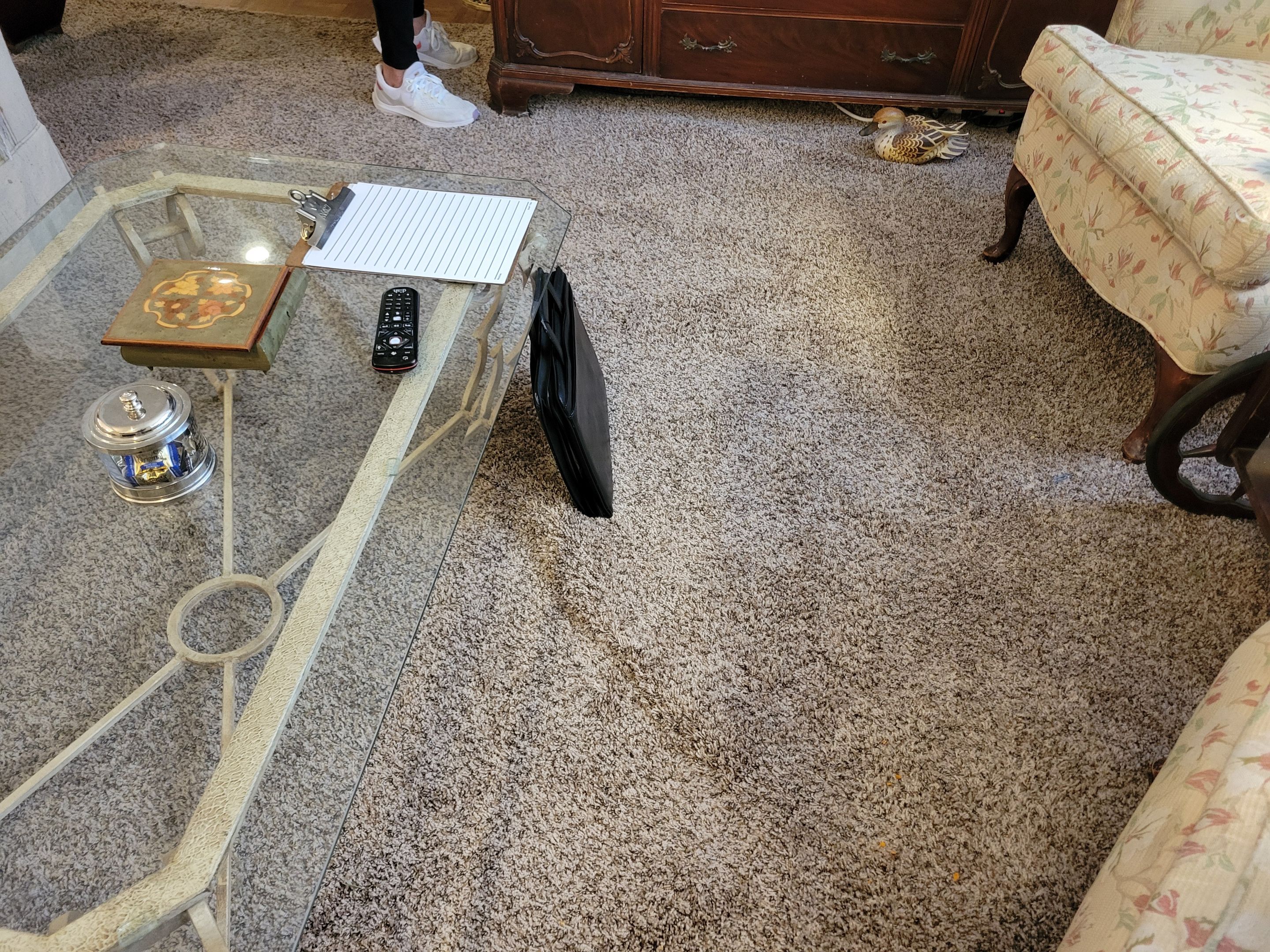 Post Water-Damage, Carpet Re-stretch & Clean by Ardent Carpet Restore LLC
