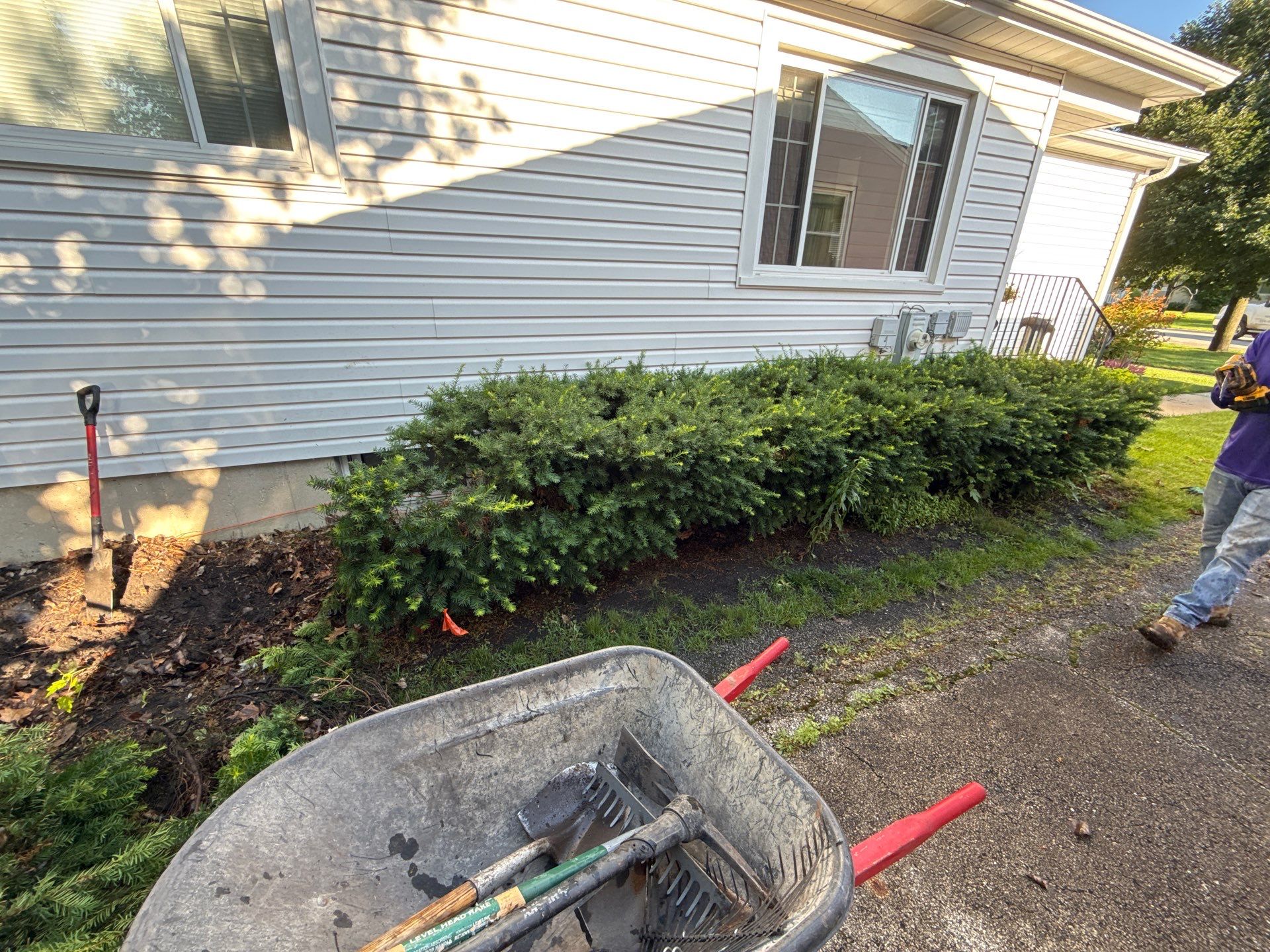 Kate M. - Arlington Heights, IL by A&N 