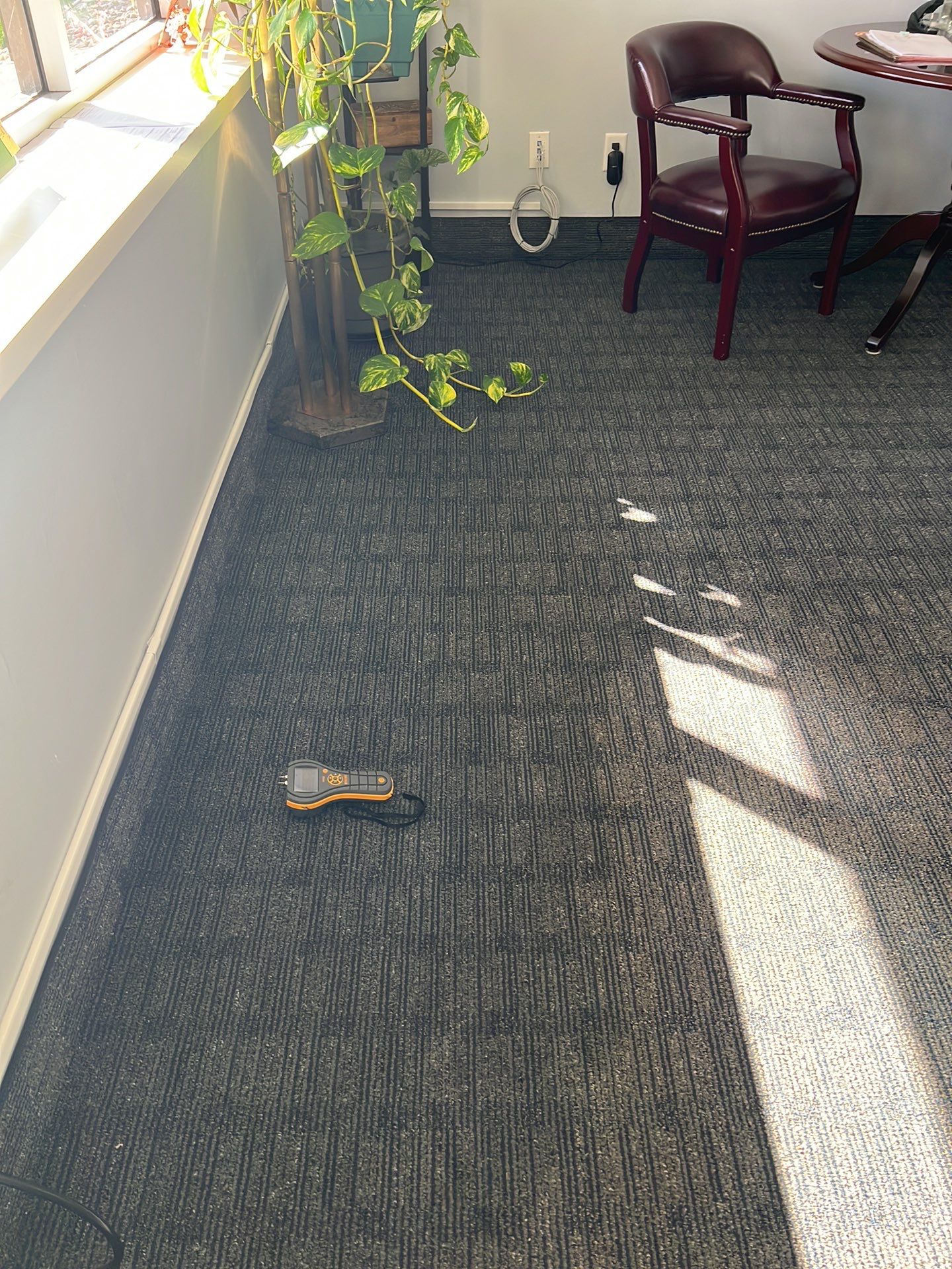 Project in Southfield by EzDry Water Mitigation & Property Restoration